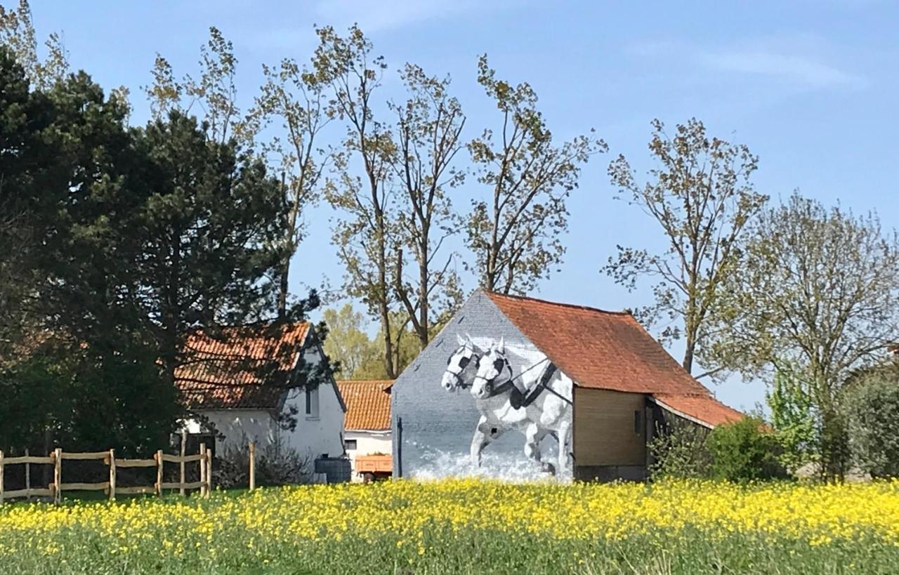 Oye-Plage La Ferme Wessiereゲストハウス エクステリア 写真