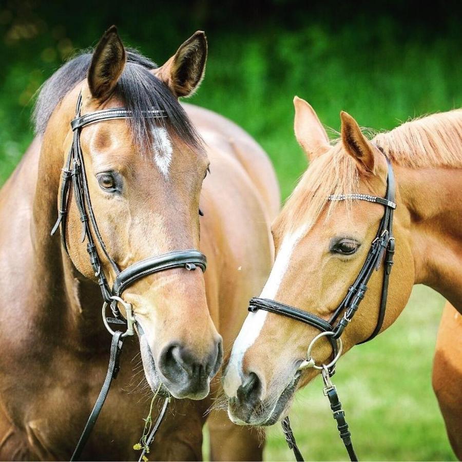 Oye-Plage La Ferme Wessiereゲストハウス エクステリア 写真
